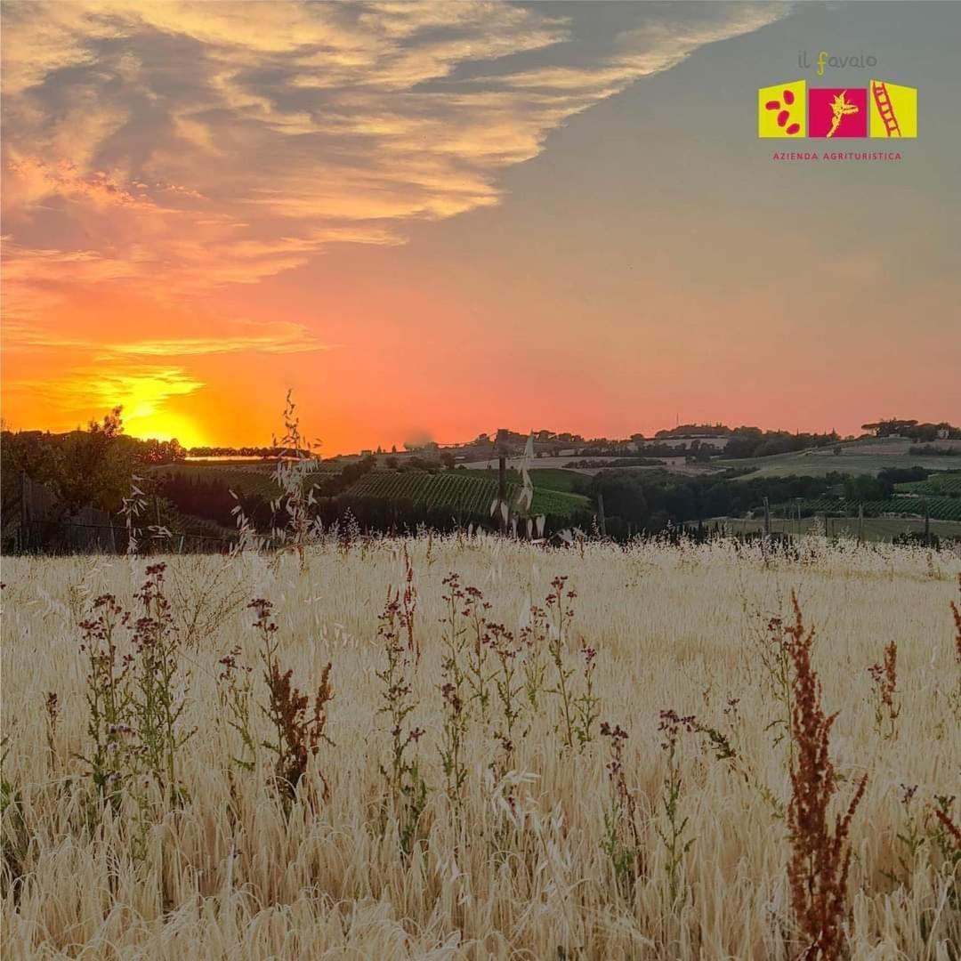 Farm stay Con Cucina Il Favaio