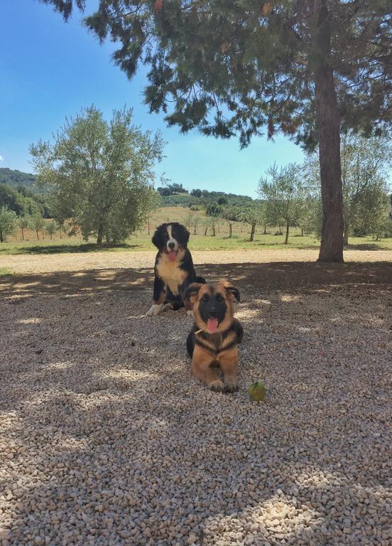 Con Cucina Il Favaio Farm stay *